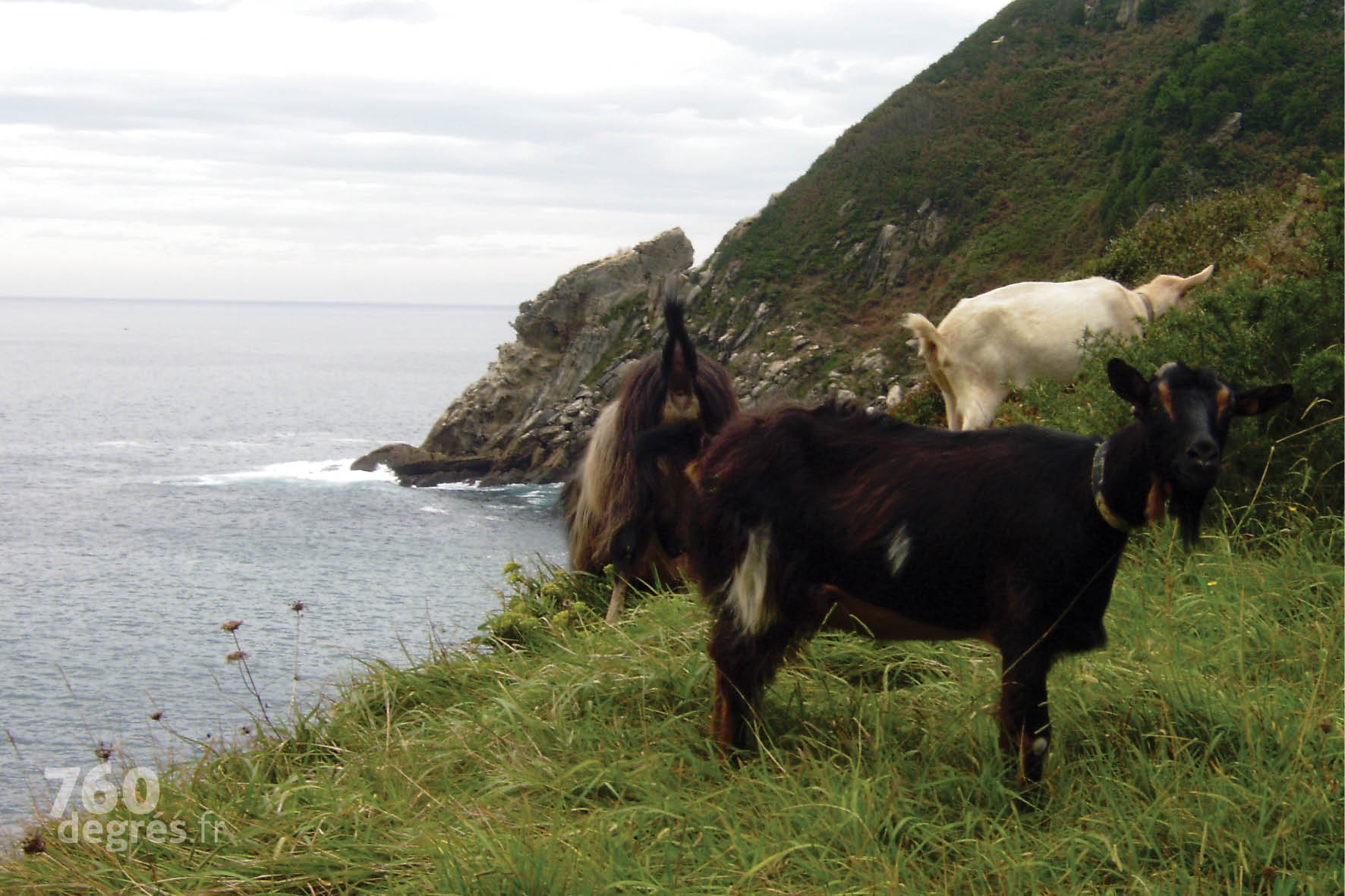 760degres-pays-basque-donostia-08