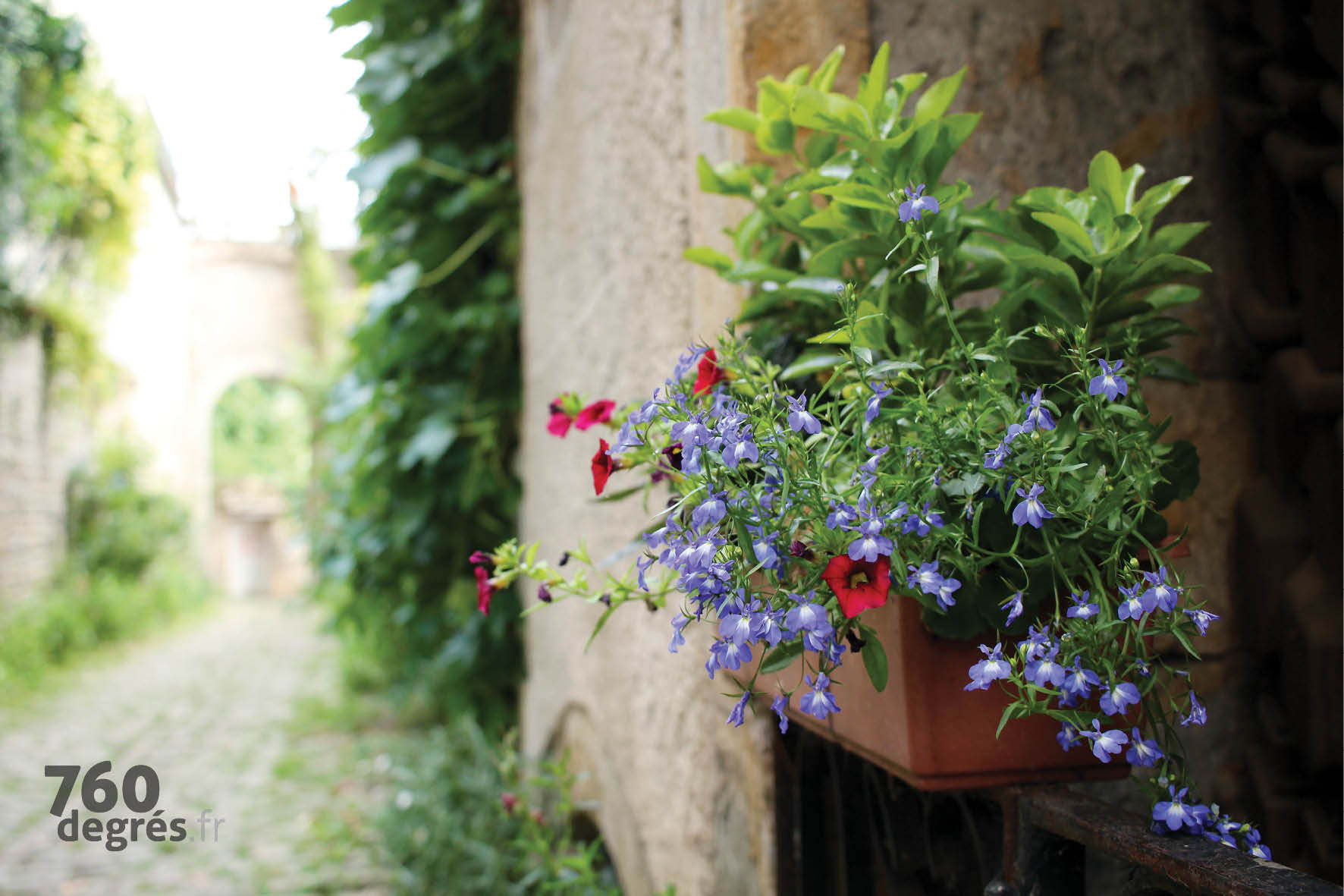 760degres-semur-en-auxois-07